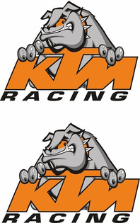 0013882_ktm-racing-bulldog-decals-stickers_550.jpeg