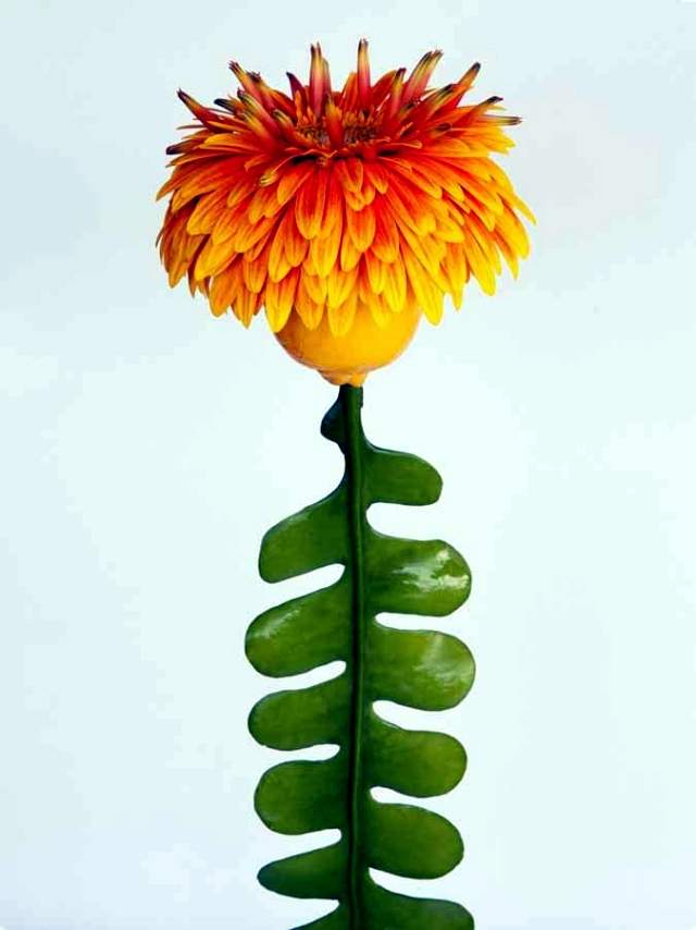 andreas-verheijen-developed-hybrid-plants-and-colorful-flower-arrangements-18-806.jpg