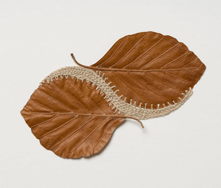 Leaf Sculpture by Susanna Bauer