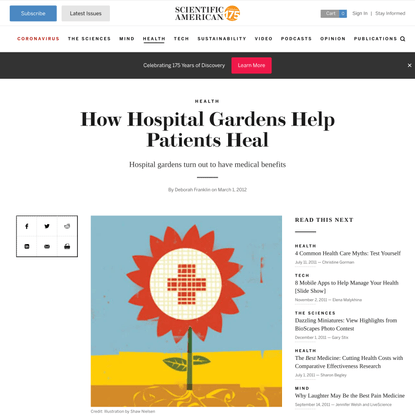 How Hospital Gardens Help Patients Heal