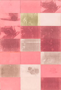 Barbara T. Smith, Pink (1965-66)