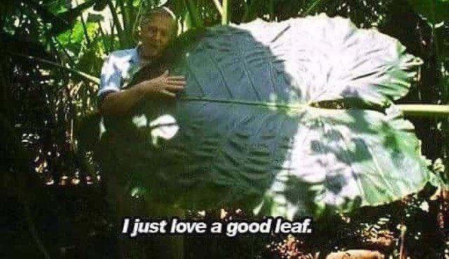 ejx5tysxsae3oc7?format=jpg-name=small