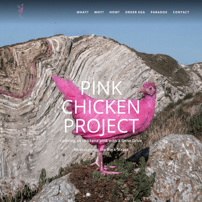 Pink Chicken Project