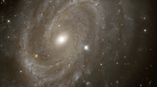variable-stars-in-a-distant-spiral-galaxy_9464531387_o.jpg