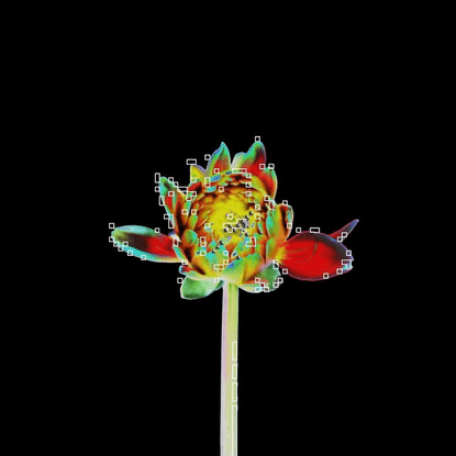 Ⓖreen on Instagram: “Flower. Sound is an edit I made of a @david.updike composition. Source footage pulled from Youtube.”