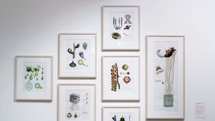 Growth Assembly - Alexandra Daisy Ginsberg &amp; Sascha Pohflepp
