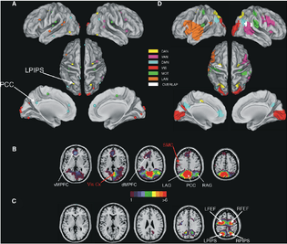 Figure-1-fMRI-Nodes-and-MEG-Resting-State-Networks-A-Location-of-resting-state.png