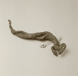 lover snakes, Dorothy Cross