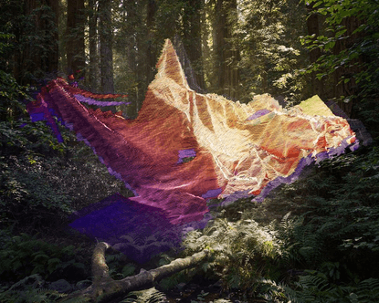 Mark Dorf’s Instagram profile post: “untitled21 Archival Pigment Print 32” x 40” 2012 • Itching to return to the Redwoods of...