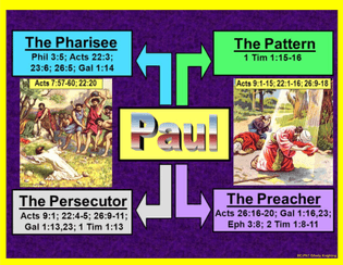 bc-pa1-pauls-life-highlights.jpg?fit=3304-2566