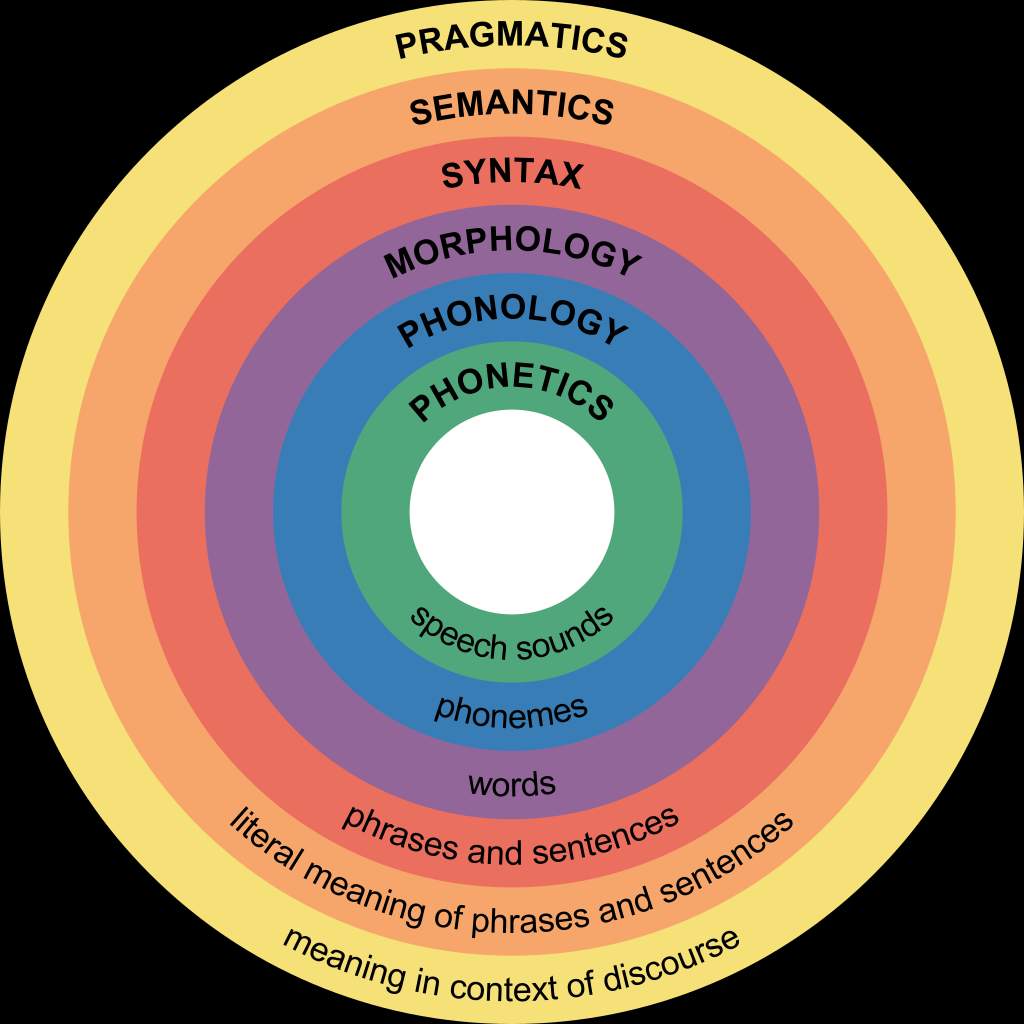 Pragmatics, Semantics, Syntax, Morphology, Phonology, Phonetics