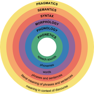Pragmatics, Semantics, Syntax, Morphology, Phonology, Phonetics