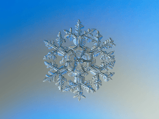 snowflake_macro_photography_1.jpg