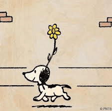 Snoopy's original appearance Oct 4, 1950