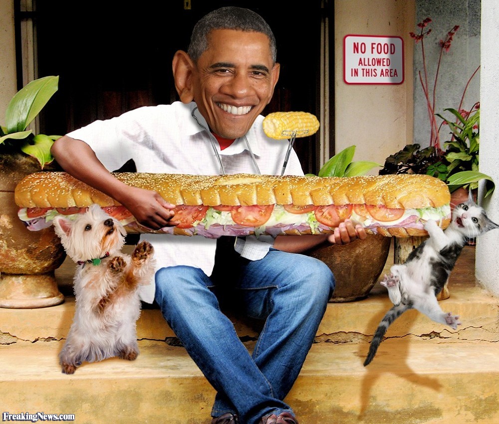 Barack-Obama-Playing-a-Giant-Sandwich-119152.jpg
