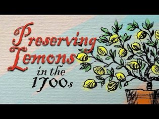 18th Century Lemon Preservation - Q&A