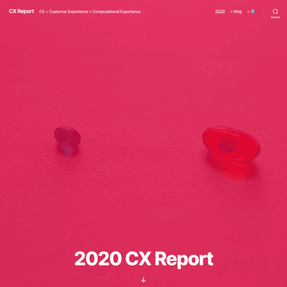 2020 CX Report