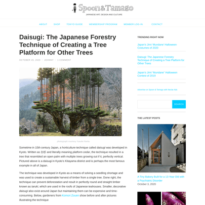 Daisugi: The Japanese Forestry Technique of Creating a Tree Platform for Other Trees