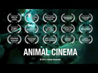 ANIMAL CINEMA - Trailer