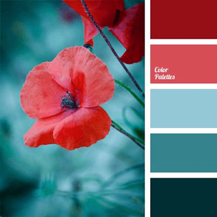 Complementary Palette