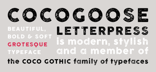 Cocogoose