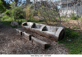 rustic-log-bench-at-the-california-academy-of-sciences-in-golden-gate-eef2dr.jpg