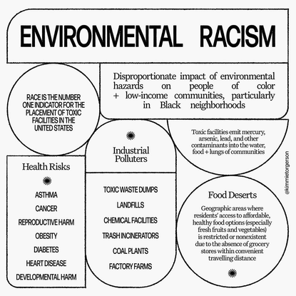 IE on Instagram: ““What does race have to do with environmentalism?” “Why do you have to make everything about race?” “This ...