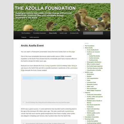 Arctic Azolla Event | The Azolla Foundation
