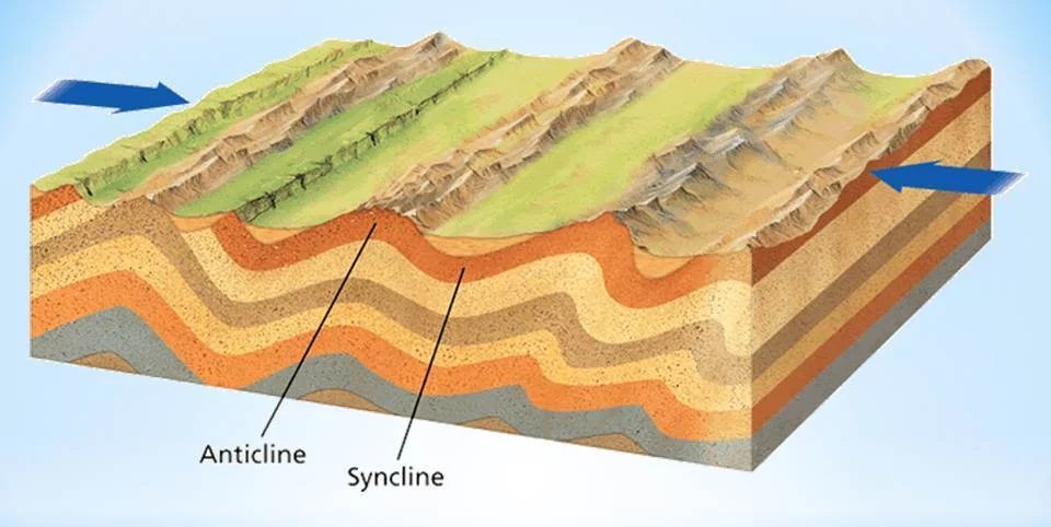 Слой р. Антиклиналь синклиналь моноклиналь. Антиклинальная складка Геология. Антиклиналь синклиналь складки. Синклиналь это в геологии.