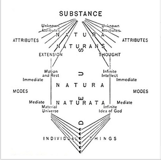 Structure of all existence, Natura Naturans and its Naturata, Benedict de Spinoza