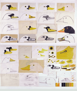 Enzo Mari, The Nature Series, preliminary sketches and variations for the goose