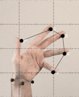 Manu Arregui, Exercises Analysis Mannered Hand Movement (Detail), 2014
