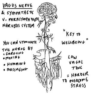 Vagus Nerve