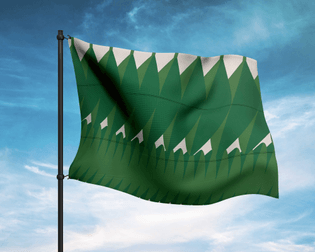 4.-timidity-flag-mockup.jpg