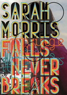 Sarah-Morris_Falls-Never-Breaks.jpg