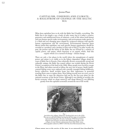 Capitalism, fisheries and climate: a maelstrom of change in the Baltic Sea | Leviathan