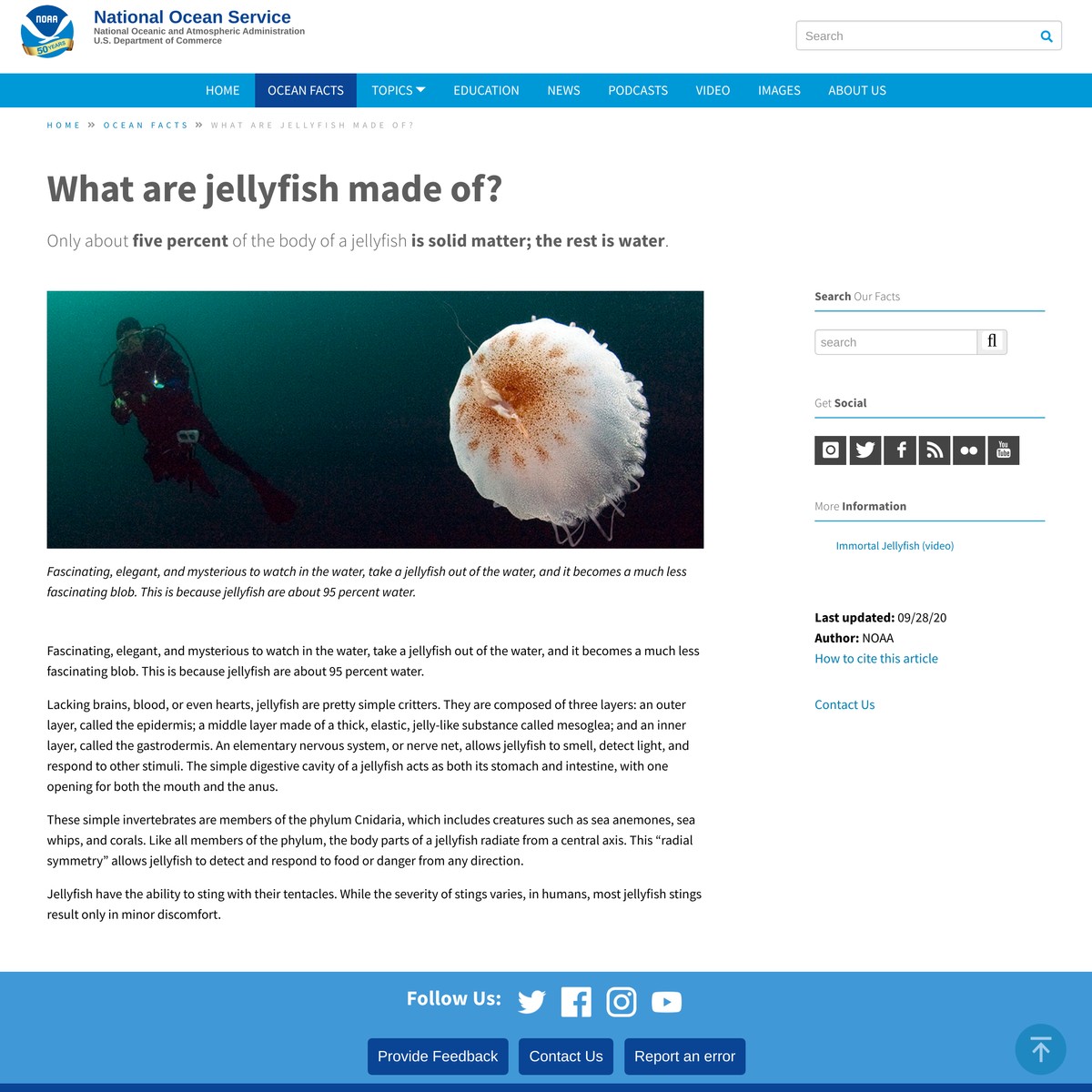 What are jellyfish made of? — Are.na