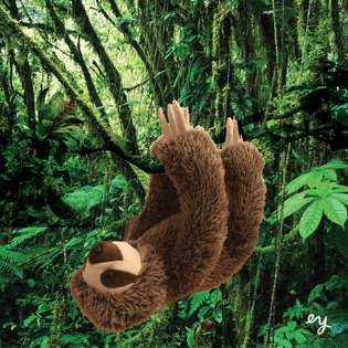 Fake Sloth in Rainforest