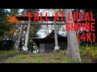 Fall at Local Shrine (4K) [29:39]