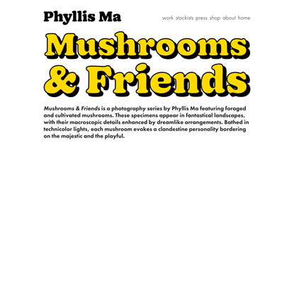 Mushrooms &amp; Friends — Phyllis Ma