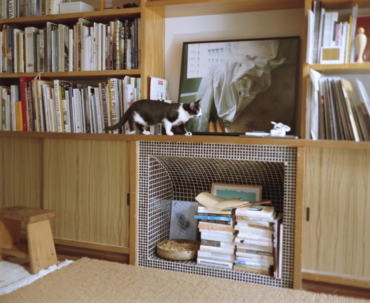 cat8-5.jpg