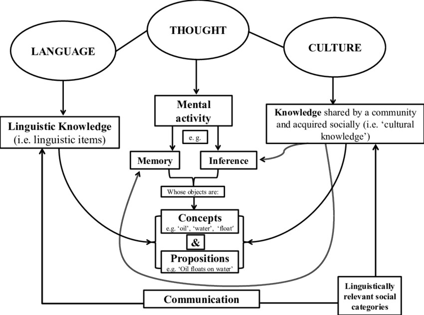 Language thought. The relationship between language and Culture. Thought and language. Language and social thinking.. Language and Culture ppt.