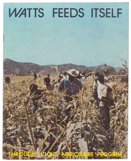 Watts Labor Community Action Committee (WLCAC) Agriculture Program, Watts Feeds Itself (ca. 1970)
