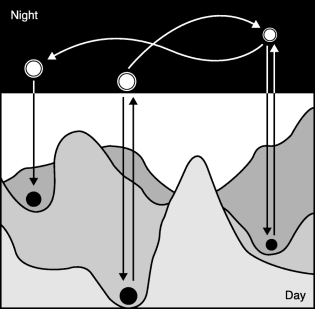 The popping-out model of day science and night science. Day thinking proceeds in logical steps, and thus only ideas that are closely related to the current hypothesis can realistically be reached (symbolized by the isolated valleys in the lower part of the picture). But one can pop out to the much more open night science world, where leaps among ideas are made possible by intuition, associative thinking, unexplained observations, and loosely applied principles from other fields. When a new idea has been generated, one can pop back into the day below and test it efficiently using day science methods.