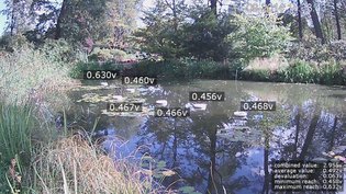 Pond Battery. A Poetics of Green Energy