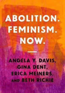 Abolition. Feminism. Now - Angela Y. Davis, Gina Dent, Erica Meiners 
