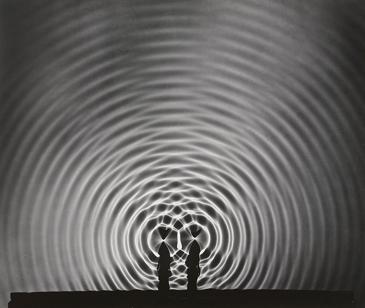 Image for Graft