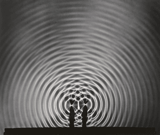 Image for Graft