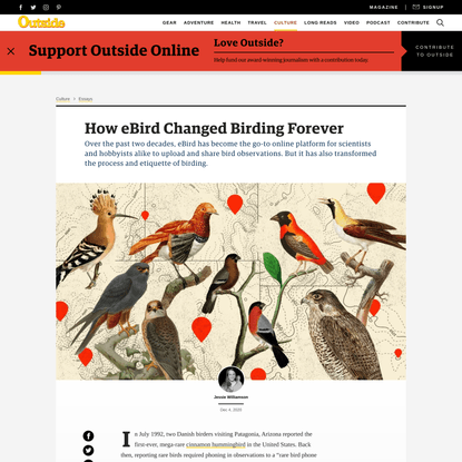 How This Online Community Changed Birding Forever
