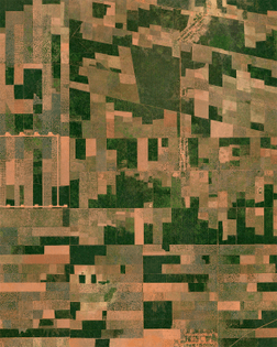 “In Rio Grande do Norte, on Brazil’s northeastern tip, a vast rainforest has been diminished to small patches to make way for agricultural land. The Atlantic Rainforest — or Mata Atlântica — used to stretch from this region into southern Brazil, Paraguay and Argentina, but less than 10% of it remains today. Although Rio Grande do Norte is the fifth-smallest Brazilian state by land area, it supplies 70% of the nation’s melons and is famed for its mango and cashew fields.”
